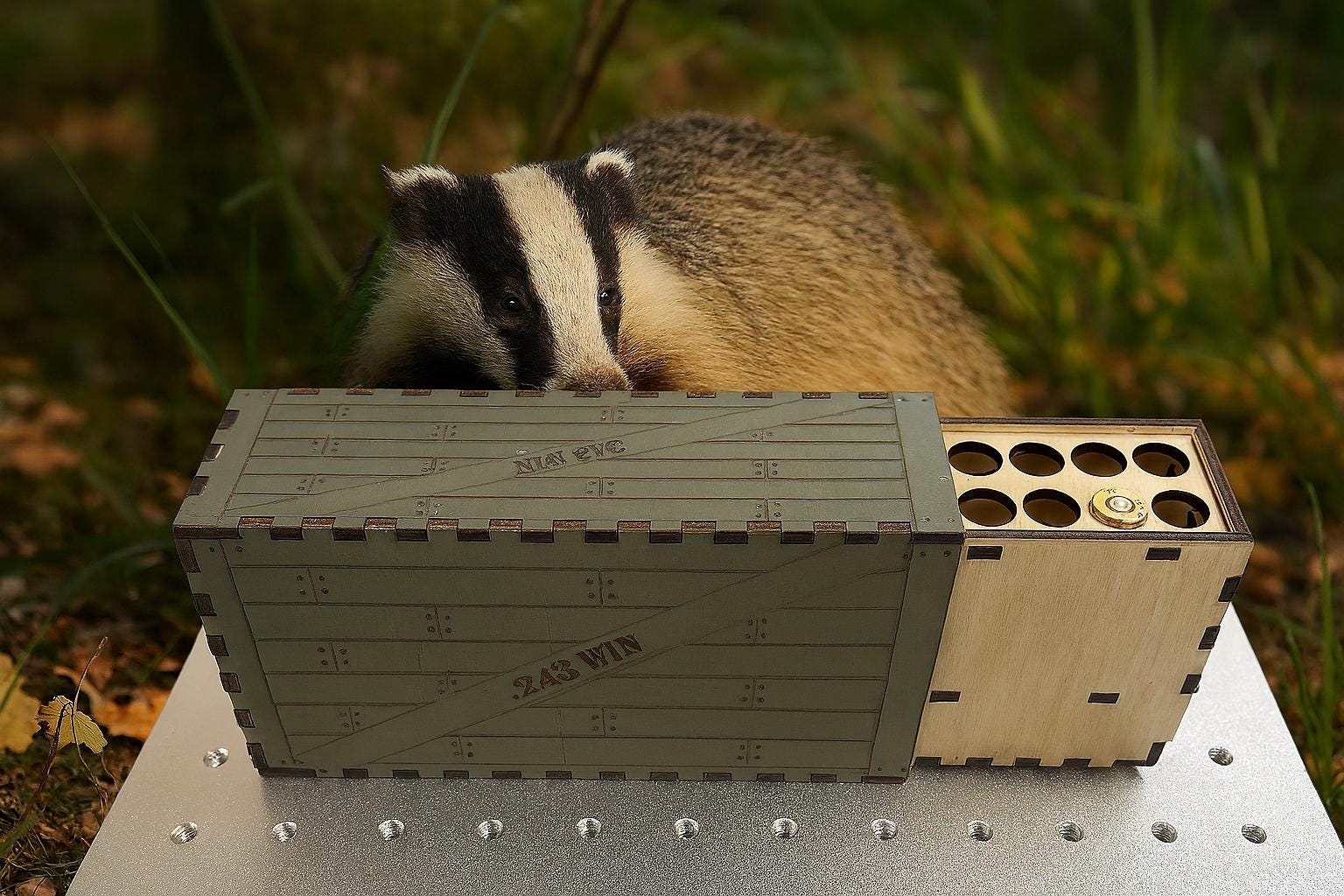 .243 Winchester Ammo Box Template for Laser Cutting & Engraving photo 2
