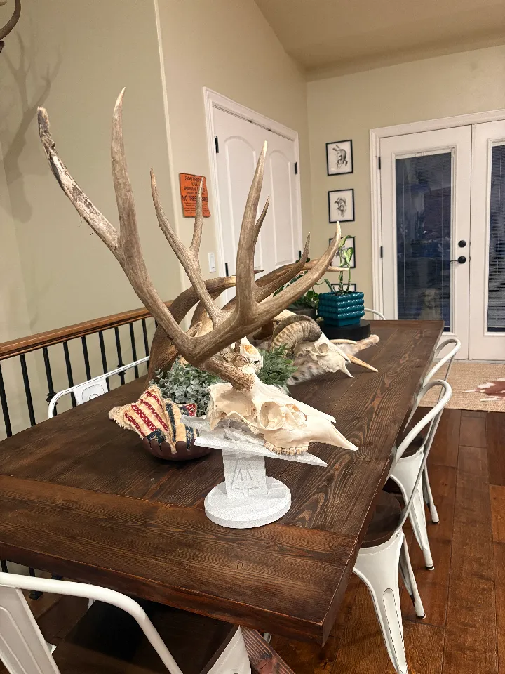 Euro Mount Skull Stand STL | Adjustable 12mm Dowel Digital File | Deer & Bear Display photo 3