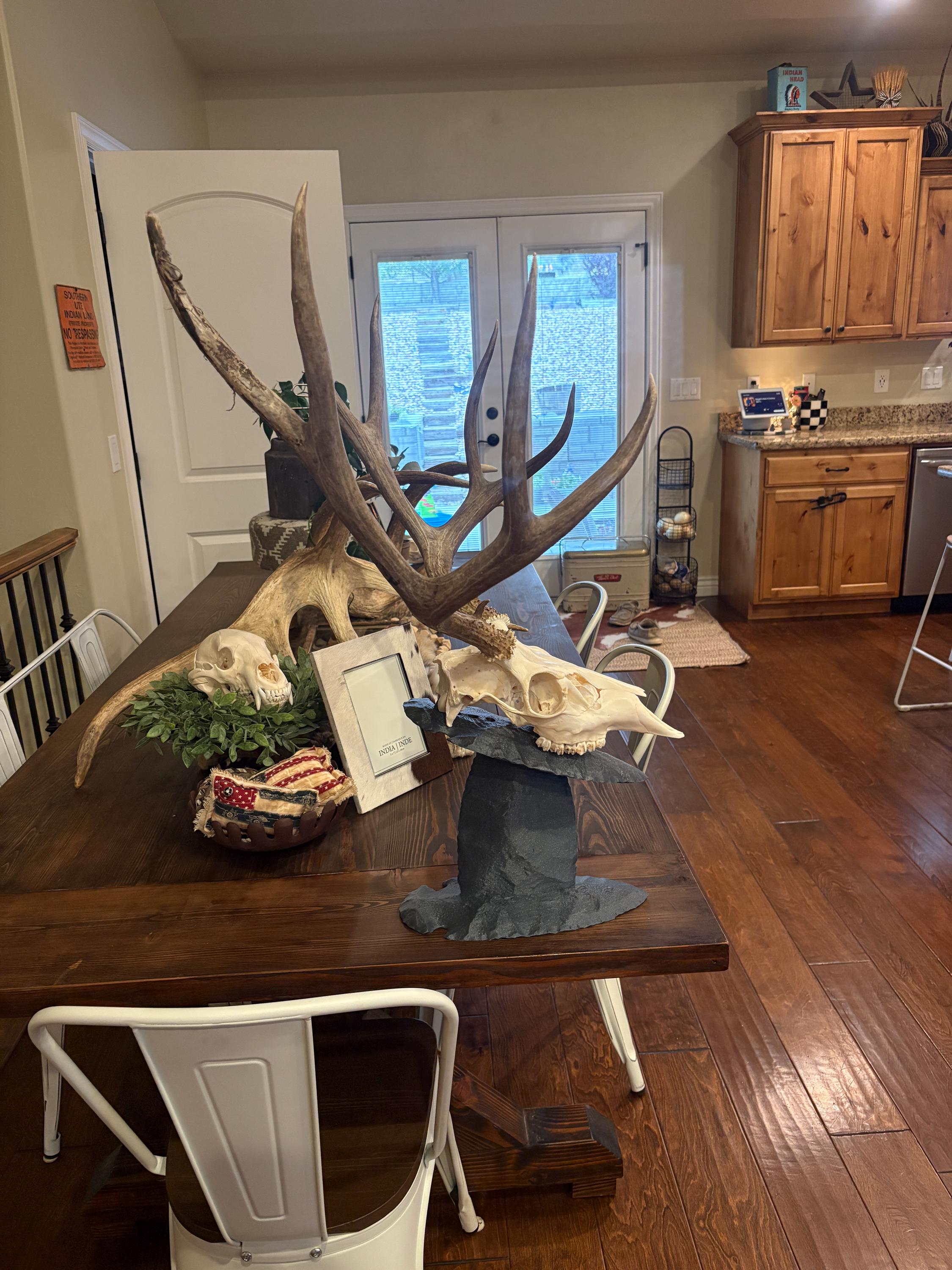Euro Mount Skull Stand for Deer, Bear & Antelope, Adjustable European Skull Display, Arrowhead Style Trophy Stand photo 2