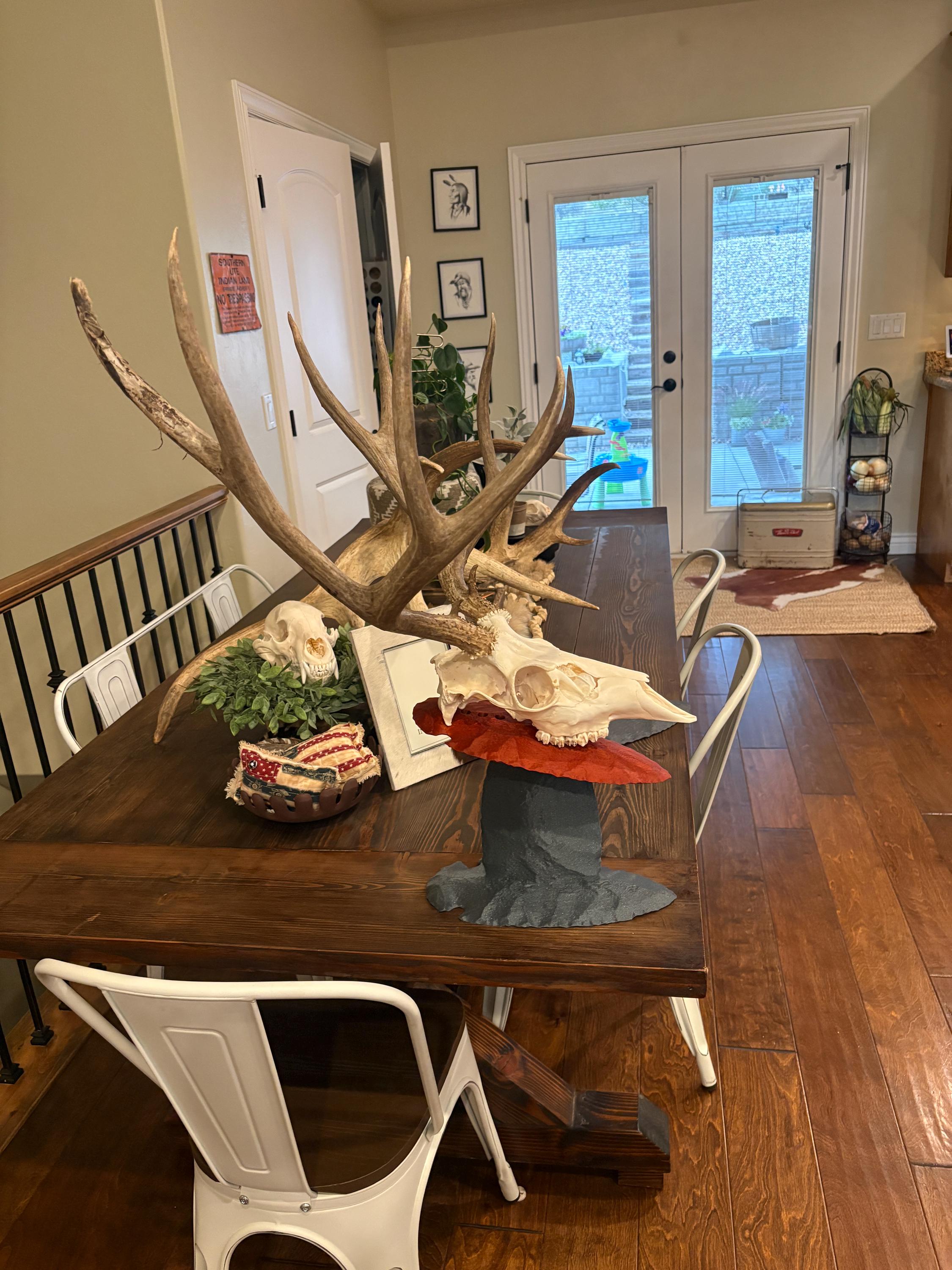 Euro Mount Skull Stand for Deer, Bear & Antelope, Adjustable European Skull Display, Arrowhead Style Trophy Stand photo 3