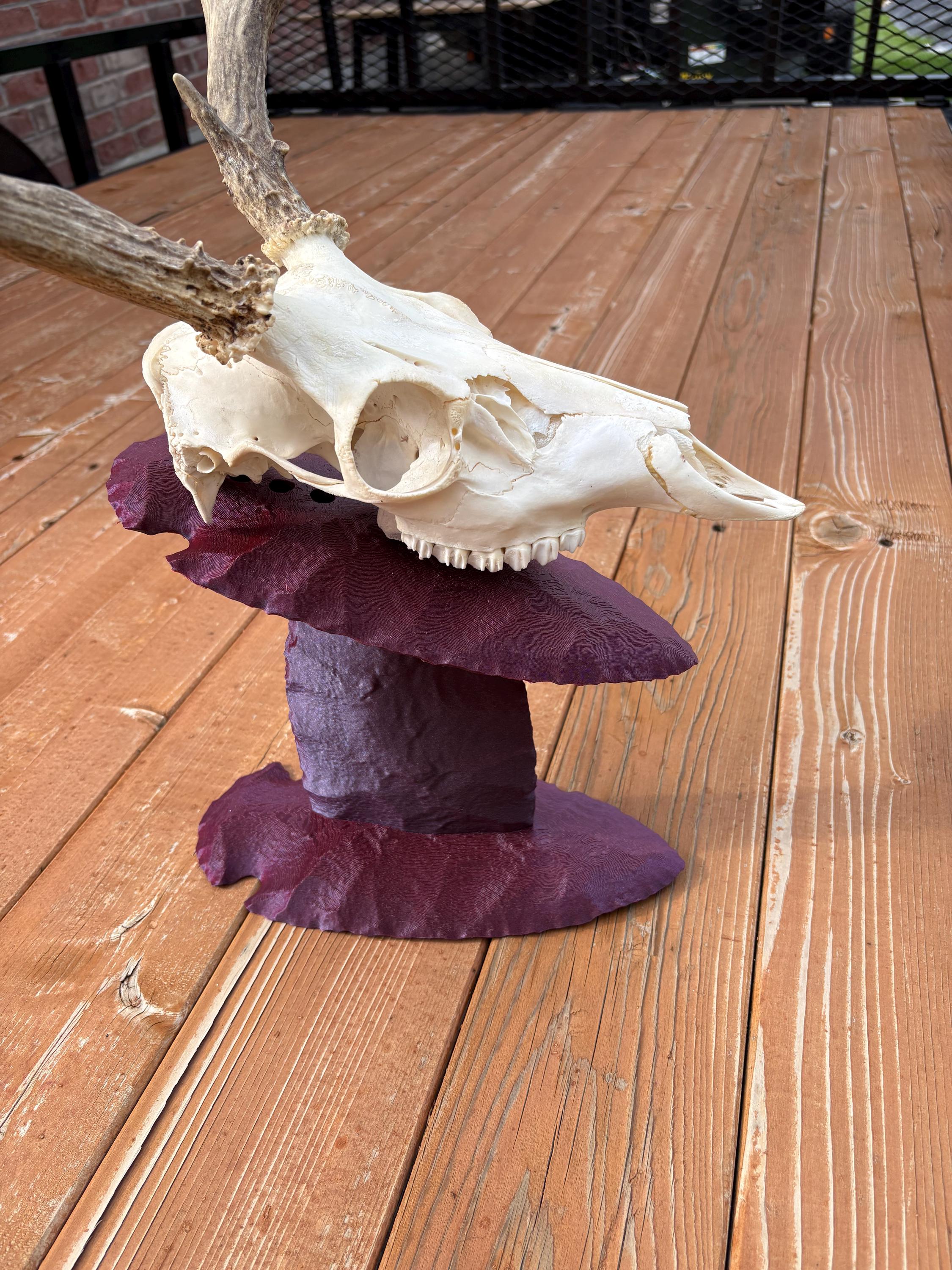 Euro Mount Skull Stand for Deer, Bear & Antelope, Adjustable European Skull Display, Arrowhead Style Trophy Stand photo 7