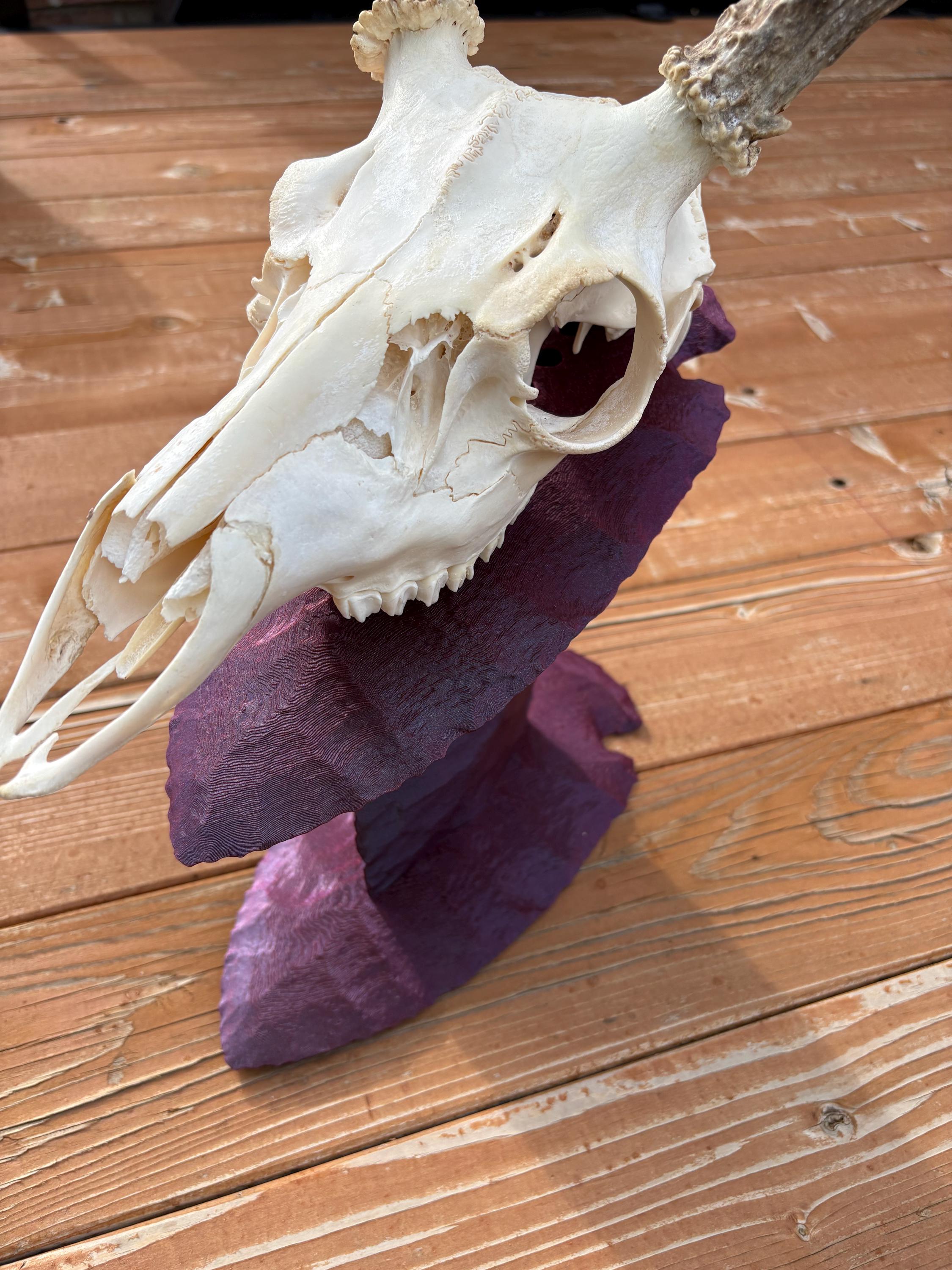 Euro Mount Skull Stand for Deer, Bear & Antelope, Adjustable European Skull Display, Arrowhead Style Trophy Stand photo 9